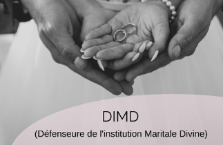 DDMI – Defender of the Divine Marital Institution